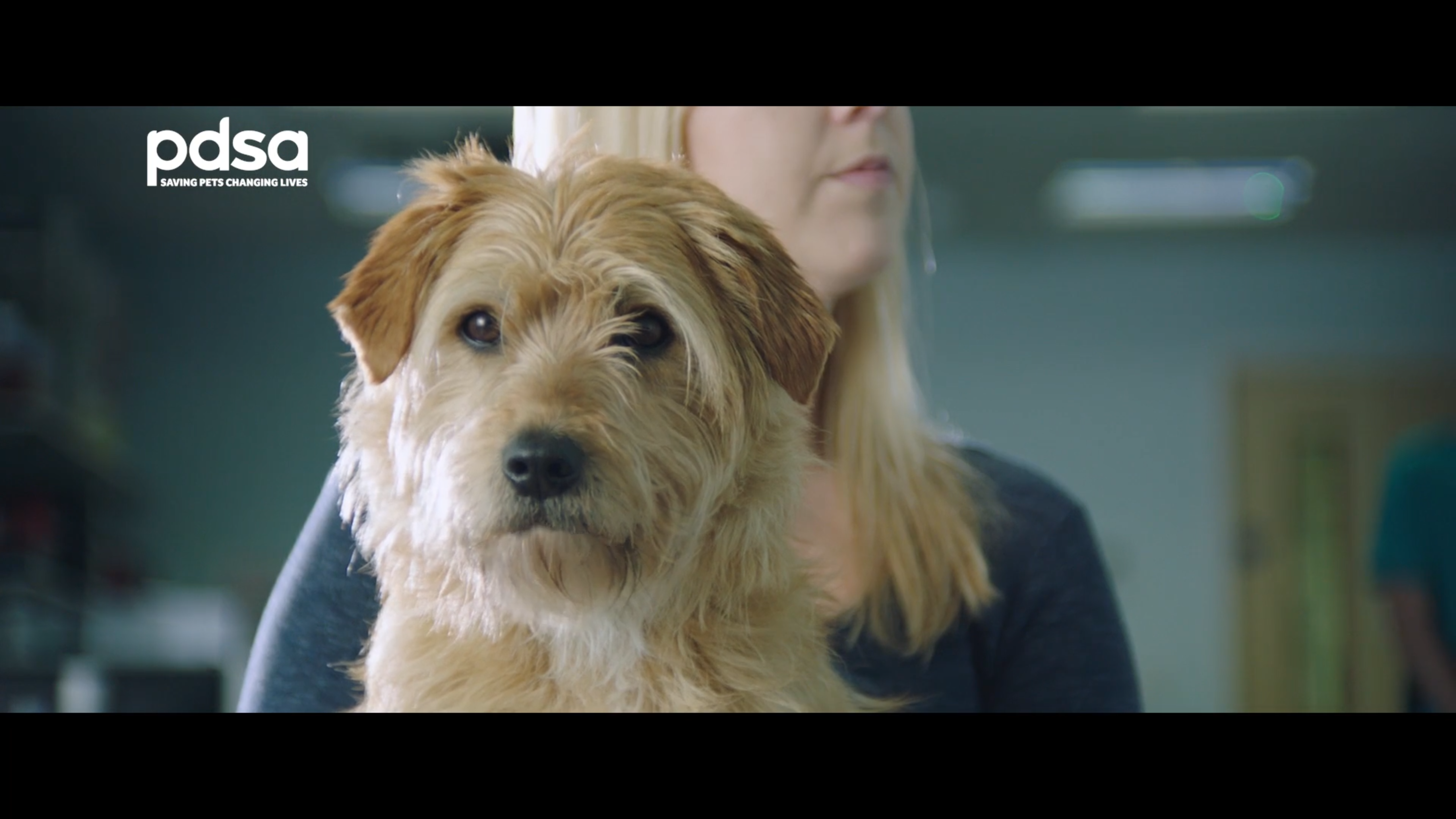 PDSA: Giving pet welfare a new voice