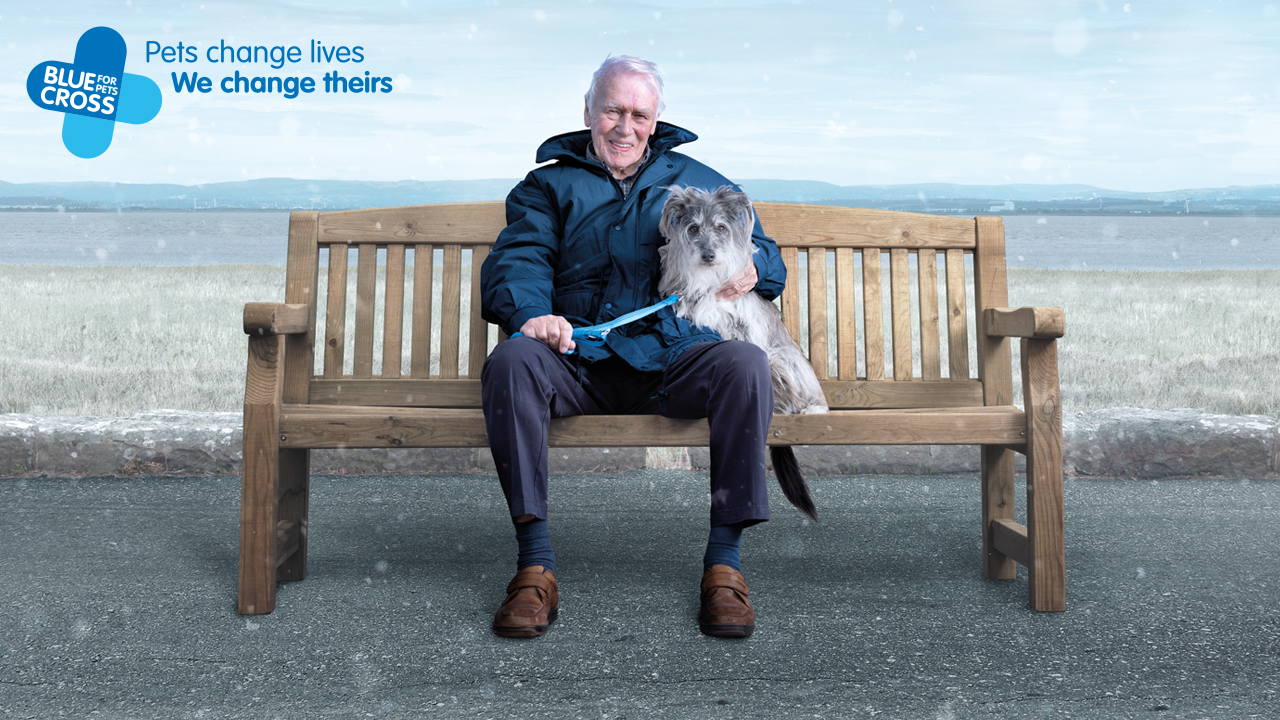 Blue Cross: Tackling Isolation
